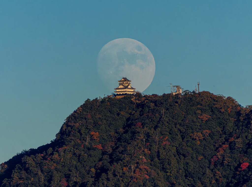金華山色づく