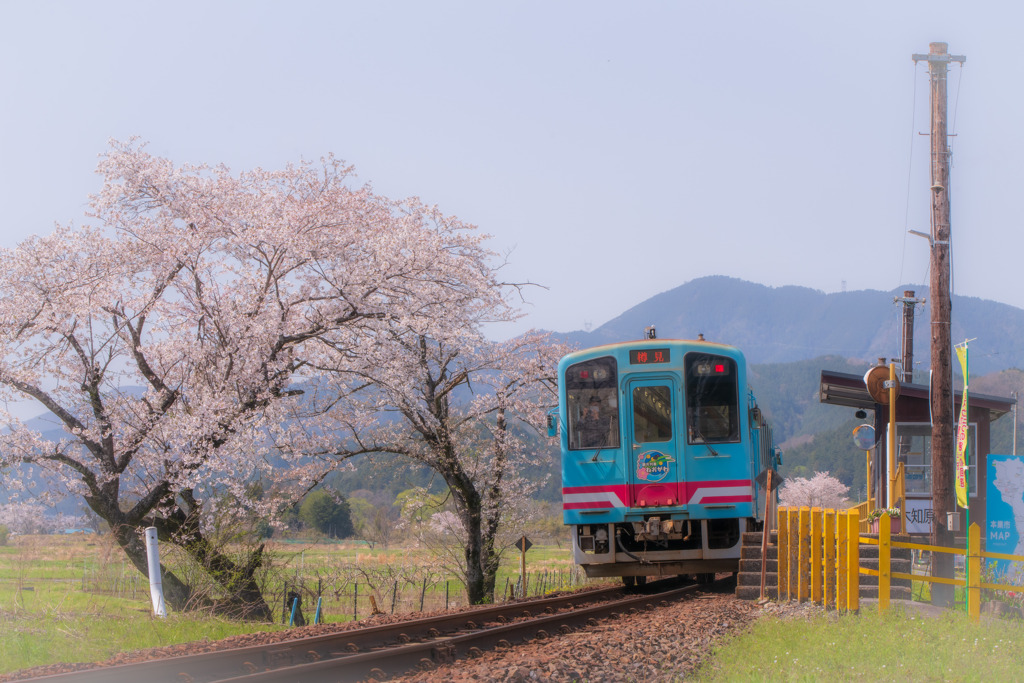 樽見鉄道 木知原駅 By ヒカリノアトリエ Id 写真共有サイト Photohito