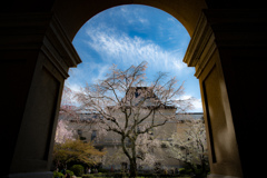 京都府庁旧本館