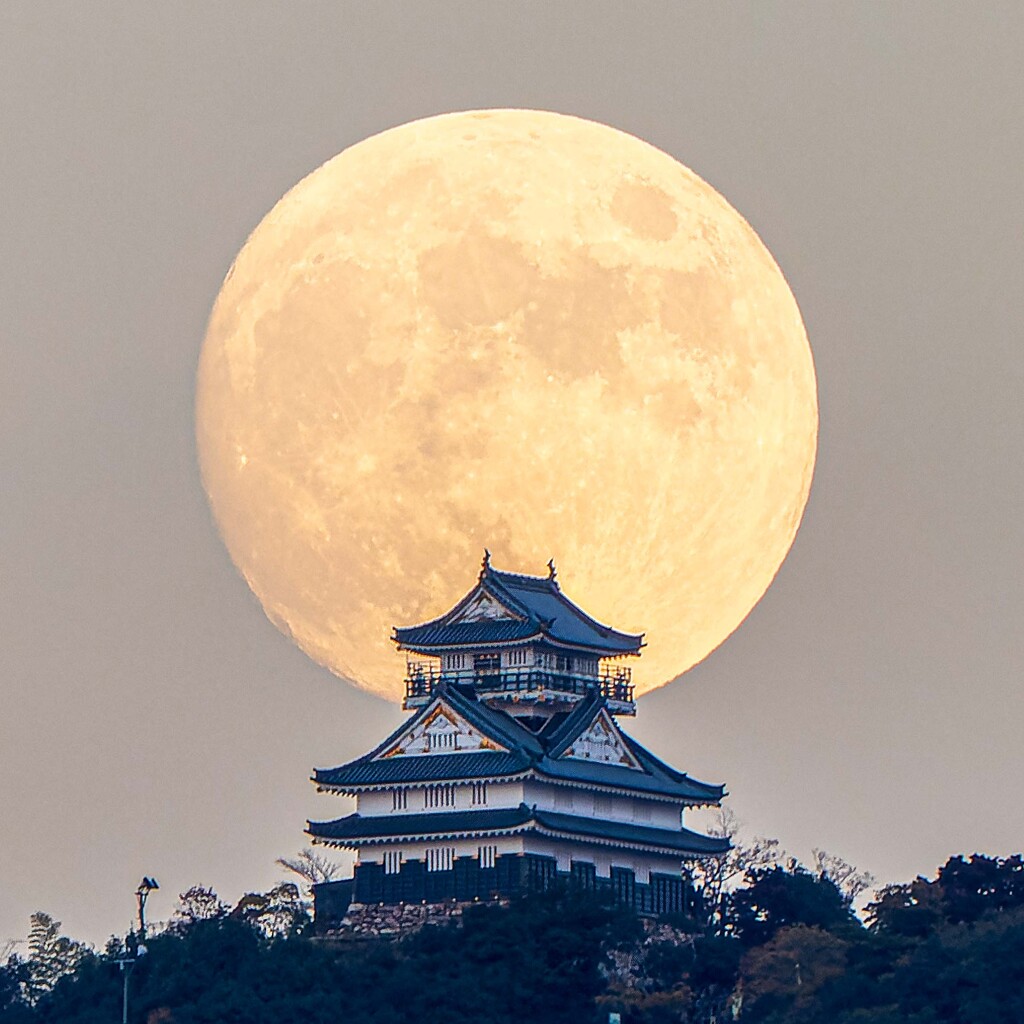 岐阜城と月