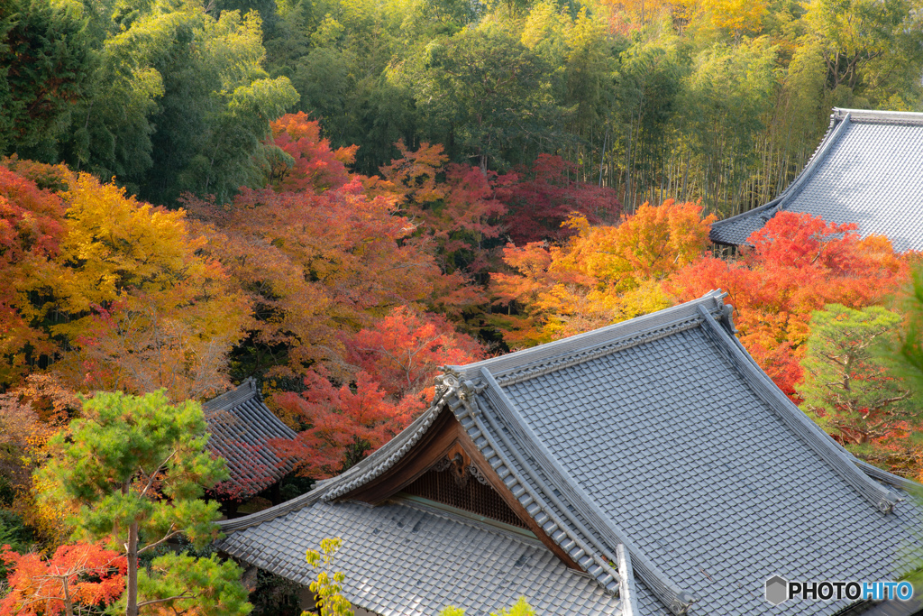 圓光寺　山の上から