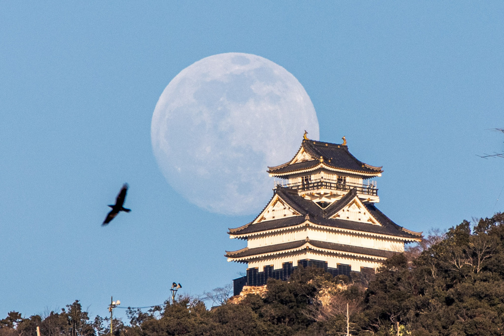 岐阜城と月