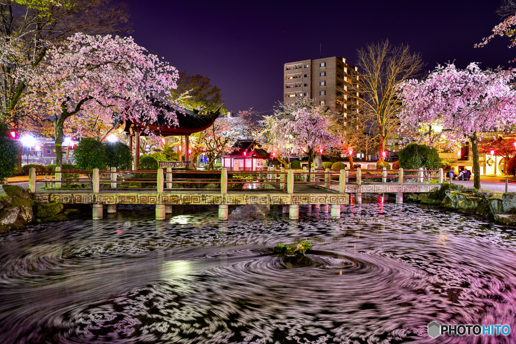 岐阜公園 日中友好庭園 By ヒカリノアトリエ Id 写真共有サイト Photohito