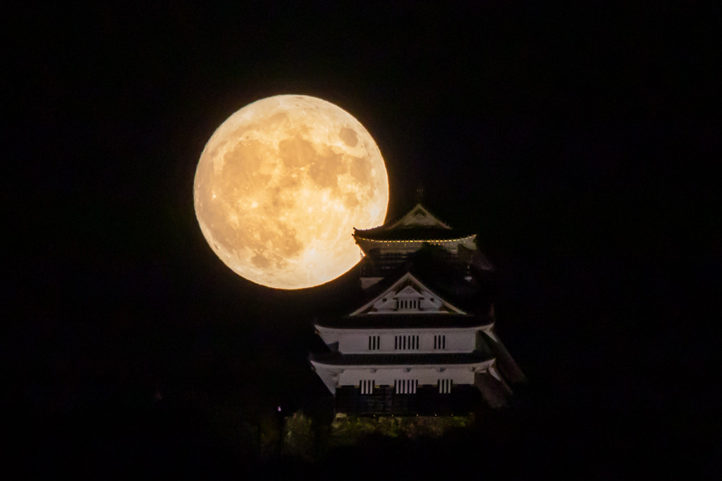 中秋の名月