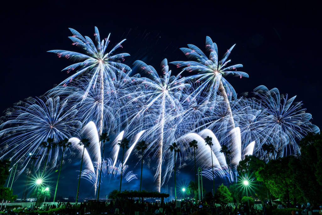 名港水上芸術花火2021