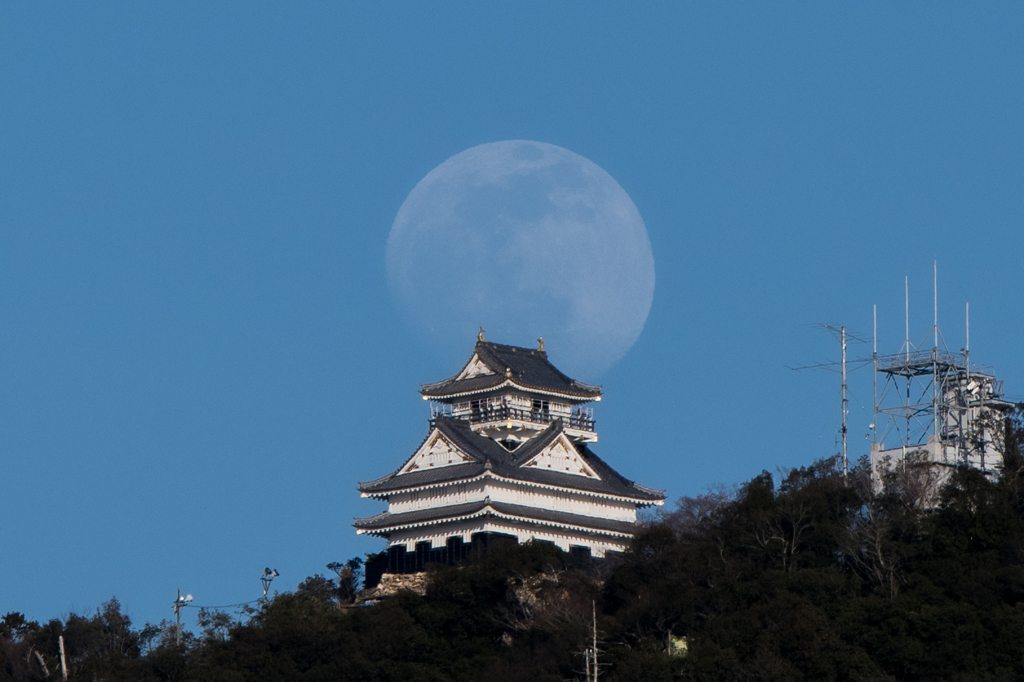 岐阜城と月