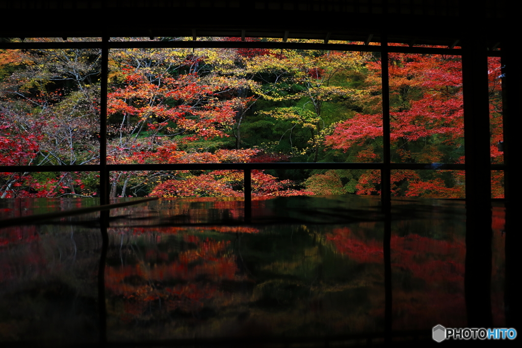 瑠璃光院