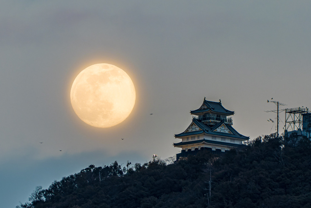岐阜城と月