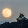 岐阜城と月
