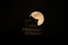 4/20岐阜城と月