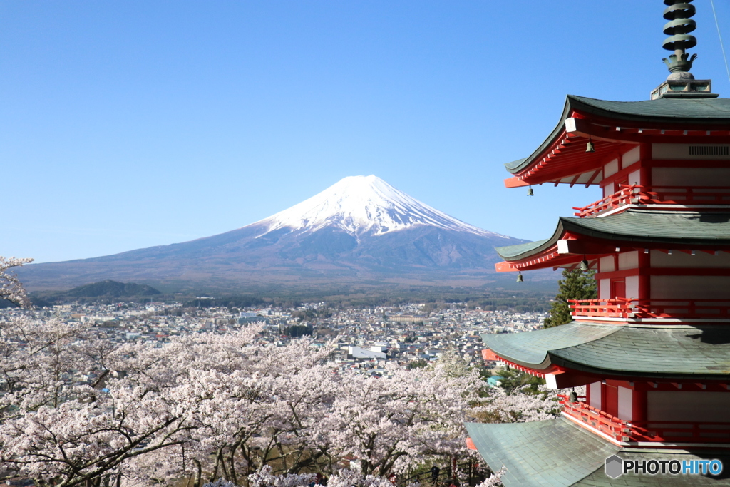 富士山　桜　五重の塔　新倉山浅間公園　その２
