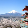 富士山　桜　五重の塔　新倉山浅間公園　その２