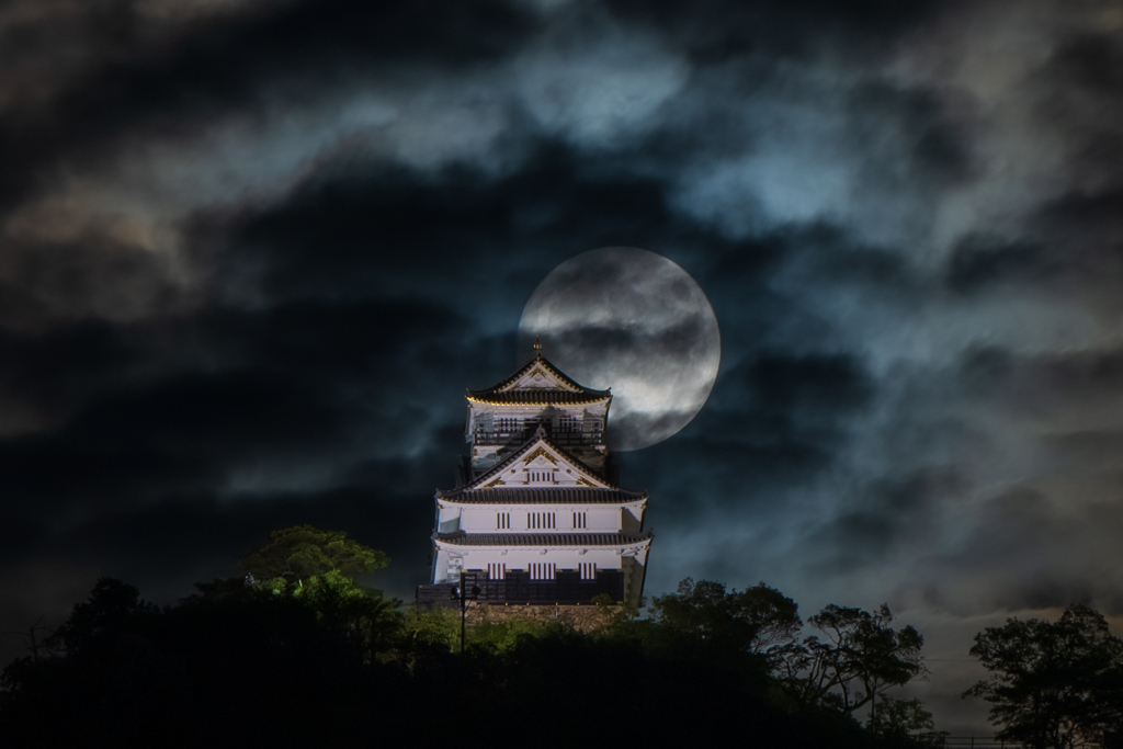 岐阜城と月