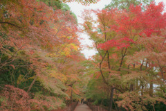 彩りある秋の風景