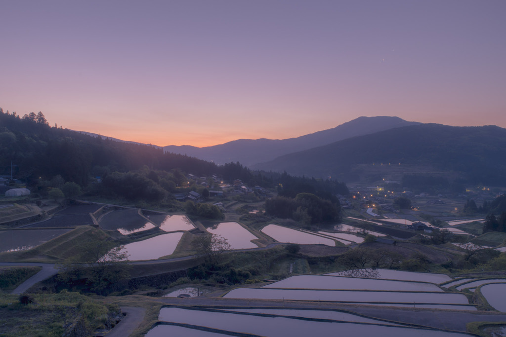 坂折棚田2022
