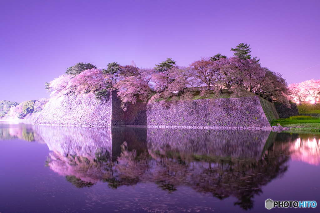 名古屋城お濠