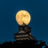天下布武