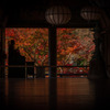 長谷寺の紅葉