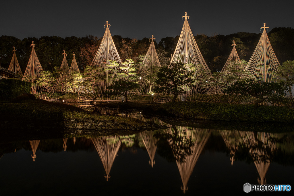 白鳥庭園　ライトアップ2018