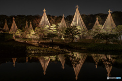 白鳥庭園　ライトアップ2018