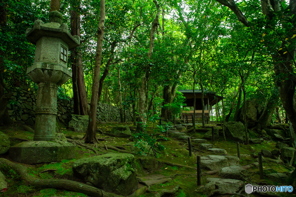旧竹林院②