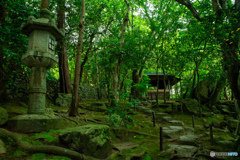 旧竹林院②