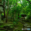 旧竹林院②