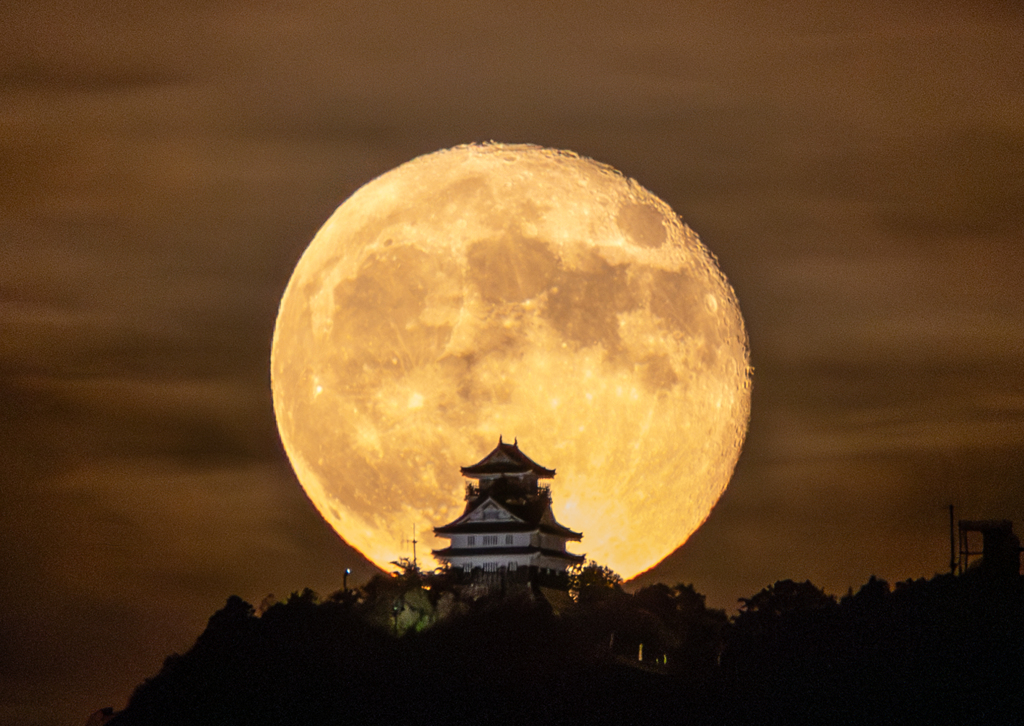 岐阜城と月