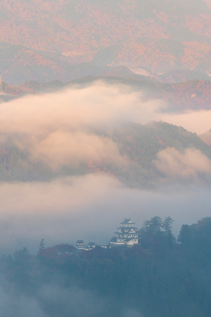 郡上八幡城と雲海