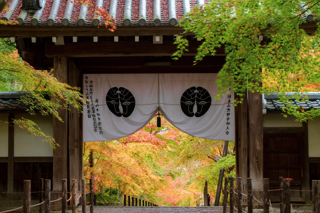 長岡京　光明寺