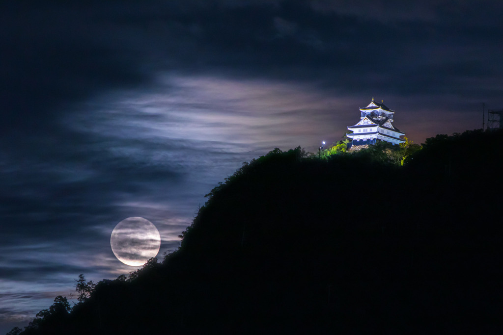 月夜の岐阜城