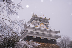 雪の岐阜城