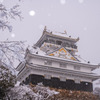 雪の岐阜城