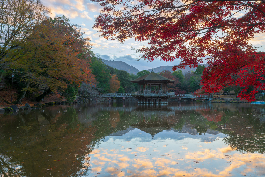 浮見堂と紅葉と青空