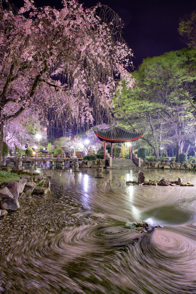 日中友好庭園2021