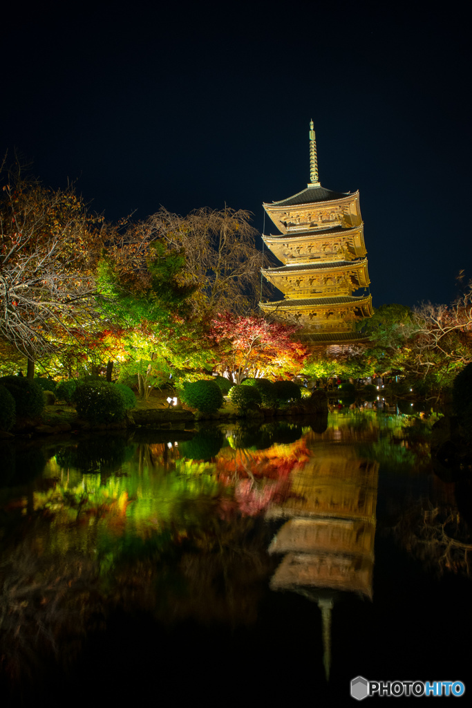 東寺　ライトアップ