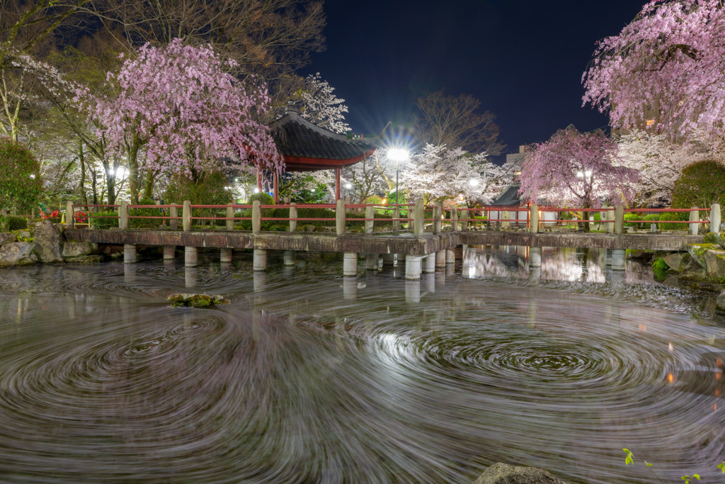 日中友好庭園2022春
