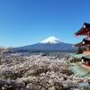 富士山　桜　五重塔　新倉山浅間公園