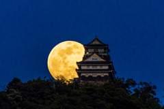 岐阜城と月