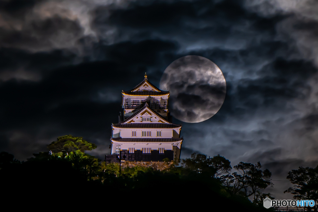 Moonlight Dance