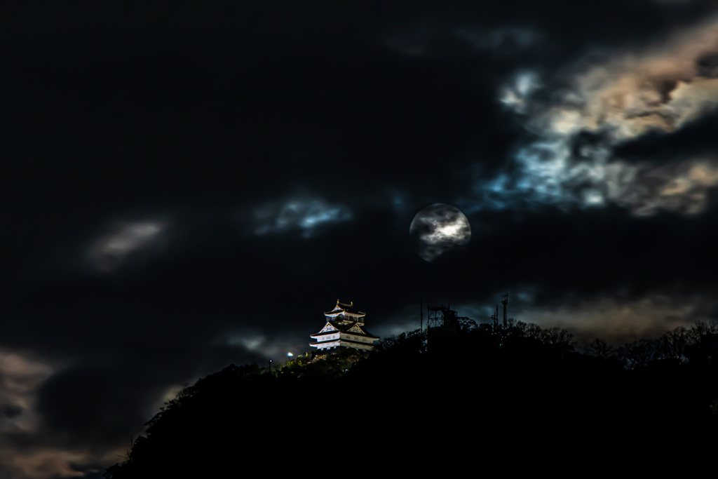 再投稿