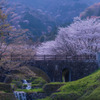 霞間ヶ渓（かまがたに）の桜