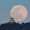 岐阜城と月