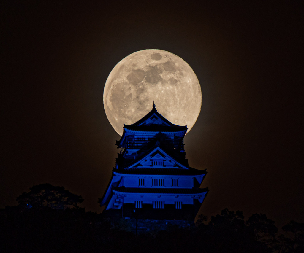 青い岐阜城と満月～フラワームーン～