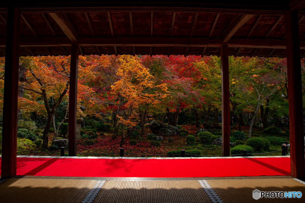 圓光寺の額縁風景