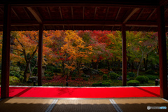 圓光寺の額縁風景