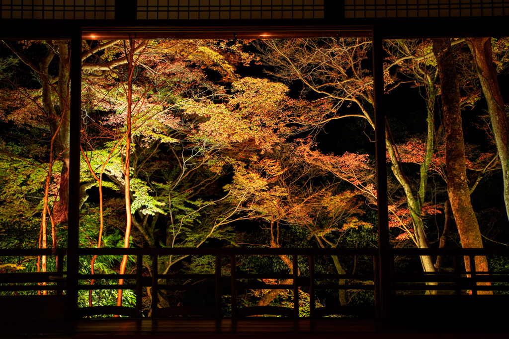 額縁紅葉（もみじ）
