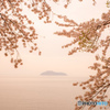 海津大崎