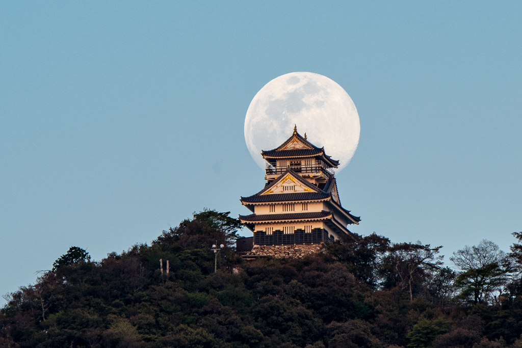 岐阜城と月