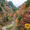 高瀬渓谷の紅葉